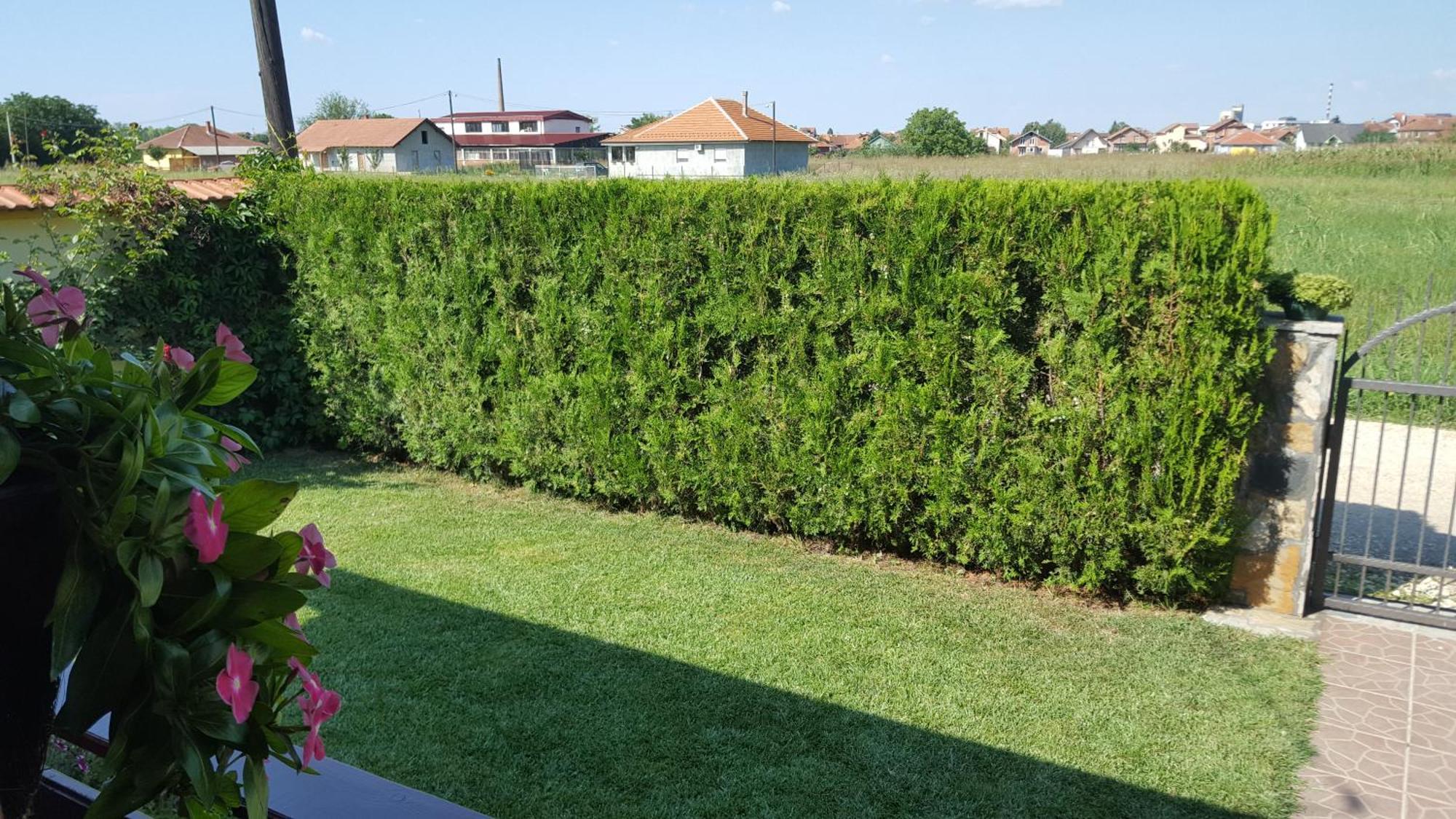 Holiday Home Di More Jagodina Ngoại thất bức ảnh